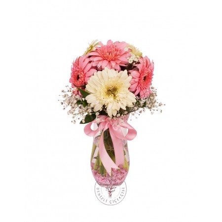 Vazoda Renkli Gerbera Aranjmanı